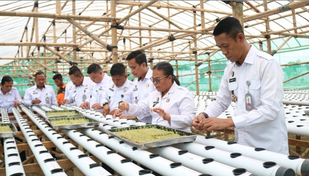 Screenshot 2025 01 06 23 41 17 90 6012fa4d4ddec268fc5c7112cbb265e7