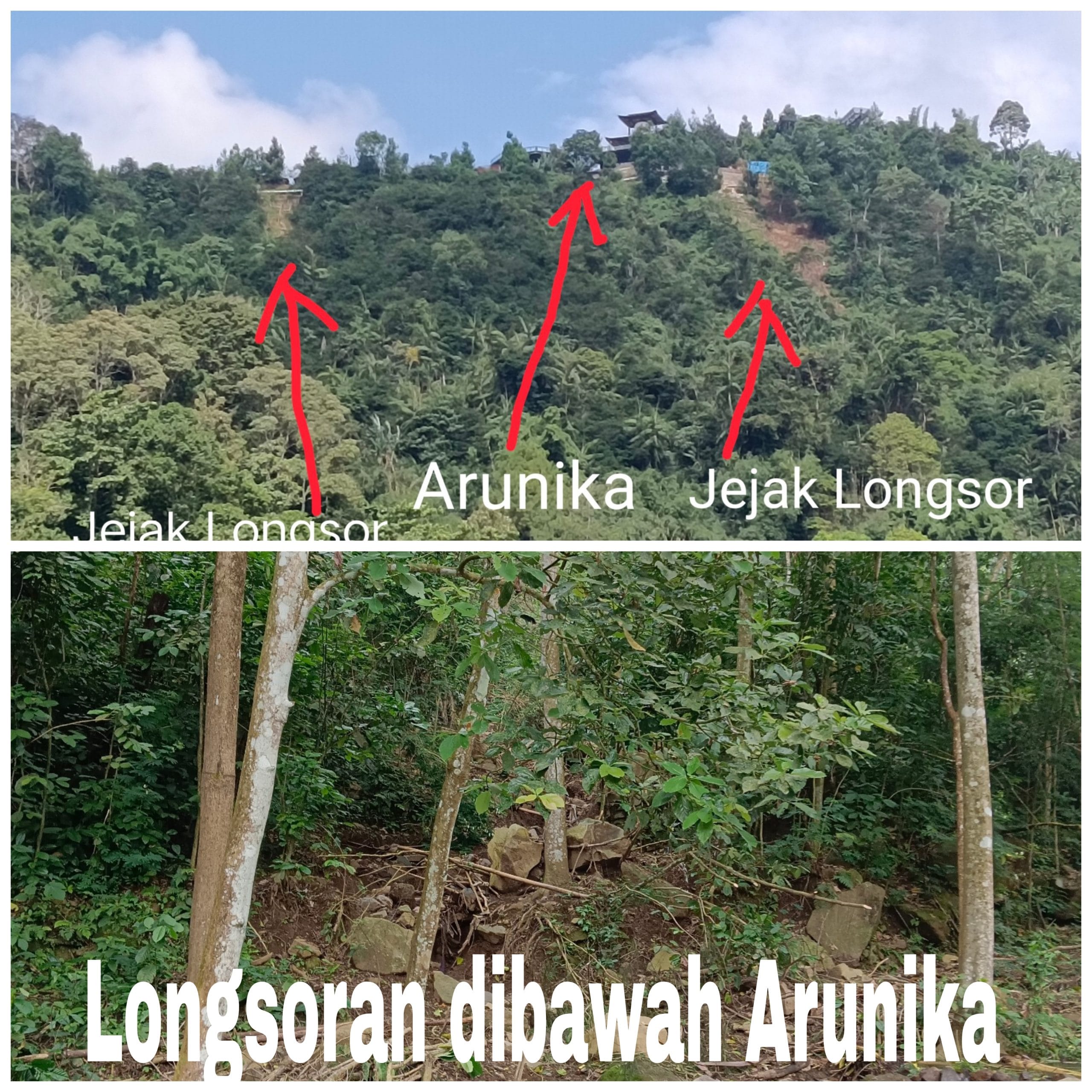 Picsart 25 06 03 16 04 46 572 scaled