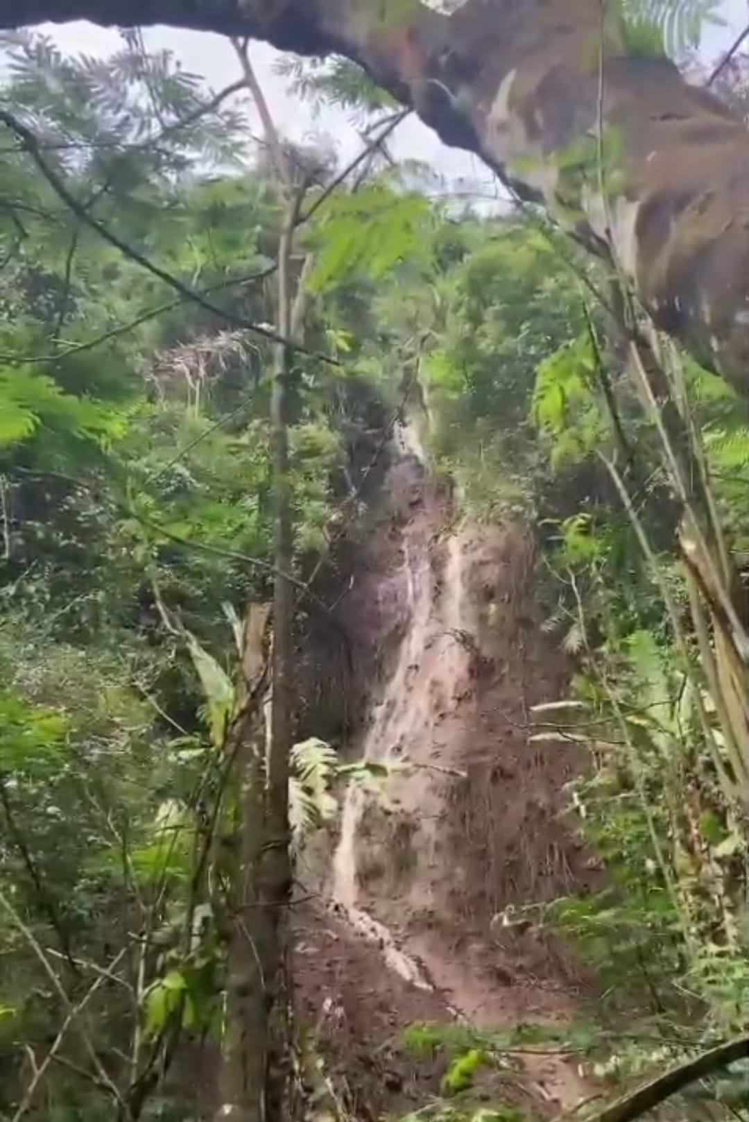 Screenshot 20250701 164418 WhatsApp