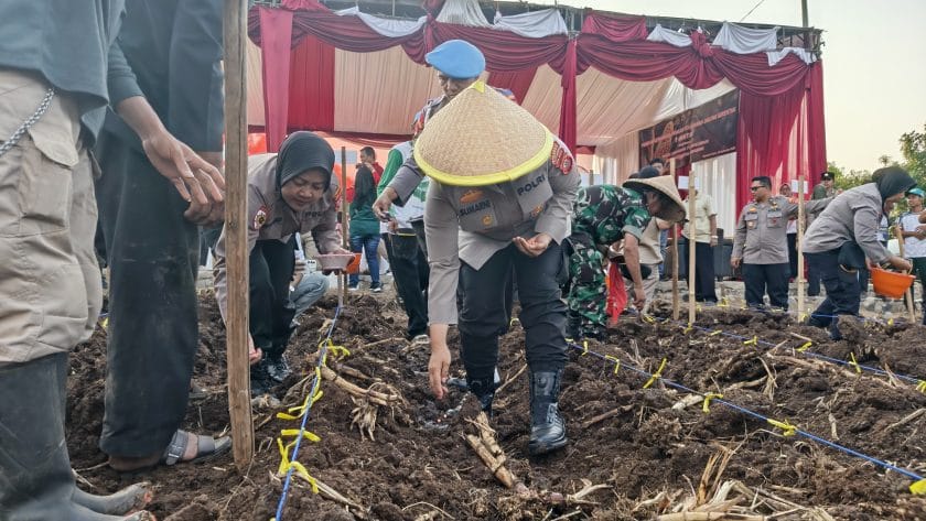 IMG 20250926 162533 952