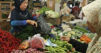 3569314ee7ee03957e8a589037038ab1