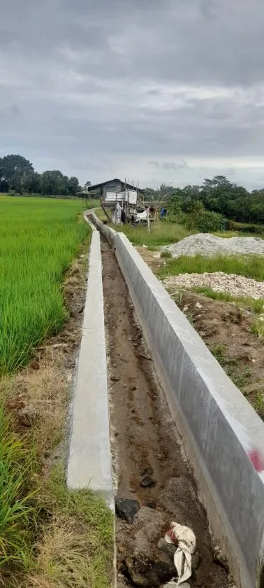 IMG 20251219 WA0002 1