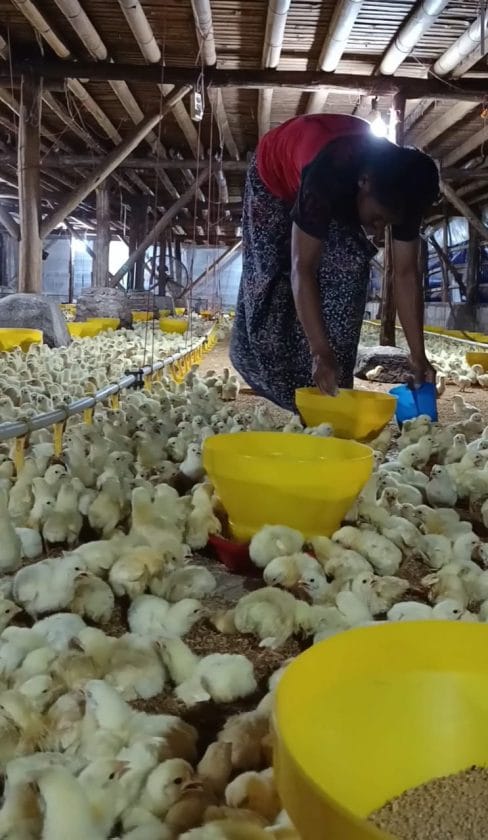 IMG 20251220 WA0009 1