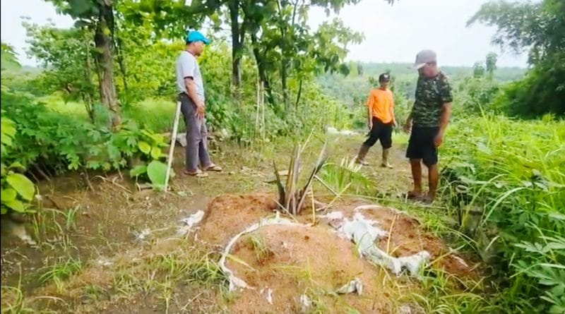 IMG 20251231 133813 939