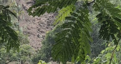 IMG 20260128 WA0021 2