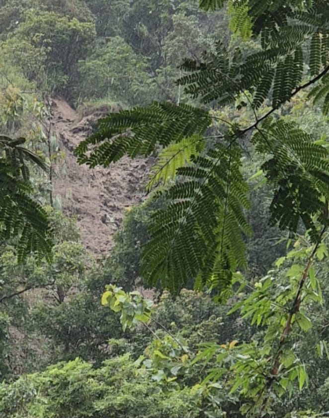 IMG 20260128 WA0021 2