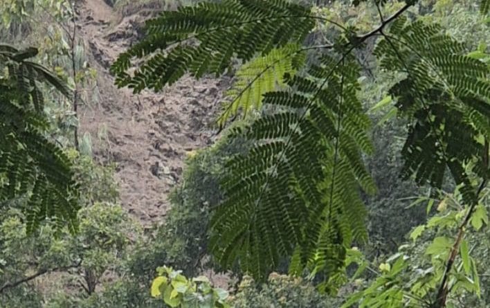 IMG 20260128 WA0021 2