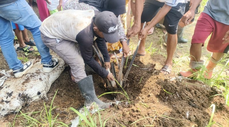 IMG 20260116 141340 549