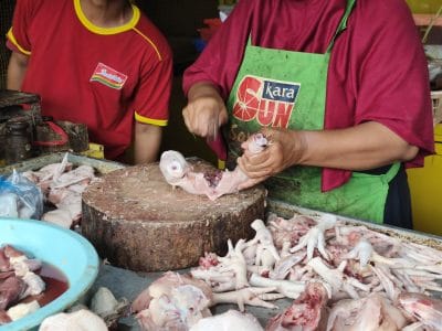 IMG 20260213 083228 619