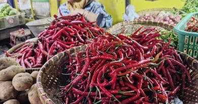 IMG 20260213 085013 676