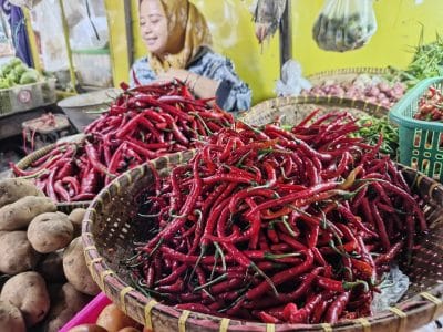 IMG 20260213 085013 676