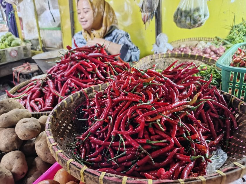 IMG 20260213 085013 676