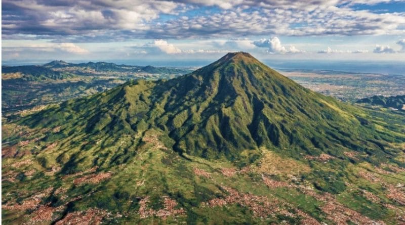 Screenshot 20260224 103323 M365 Copilot