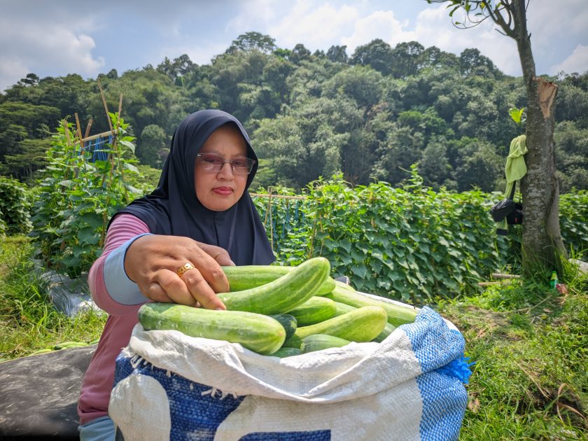 20260423 121541 lmc 8.4