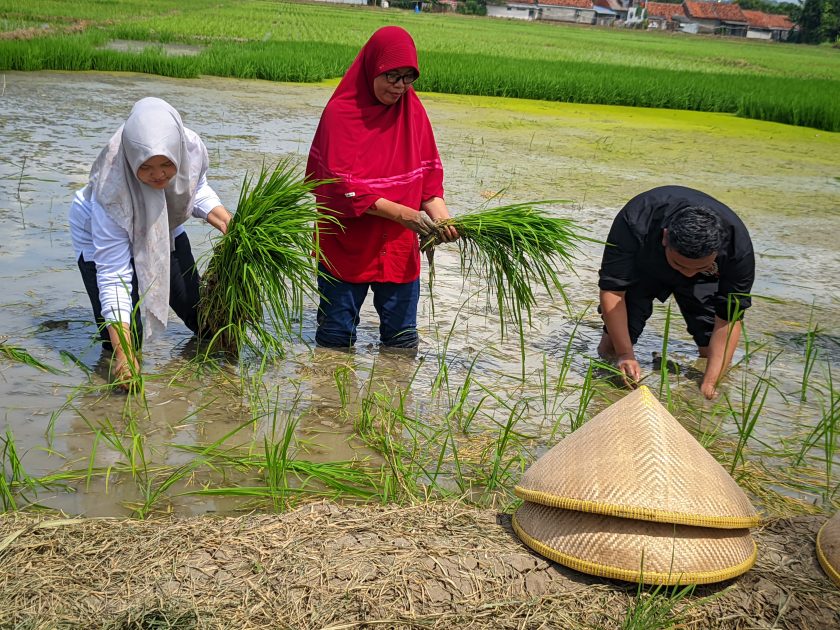 20260425 130054 lmc 8.4