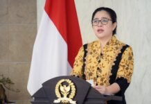 Puan Maharani Minta Pemerintah Evaluasi Sistem Penerimaan Mahasiswa Baru, Soroti 60 Ribu Peserta PTN Tak Daftar Ulang