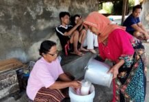 Jateng Genjot Produksi Susu Sapi, Peternak Diimbau Gunakan Teknik Silase Hadapi Musim Kemarau