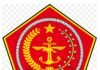 Operasi TNI di Papua Utamakan Kemanusiaan dan Keselamatan Warga