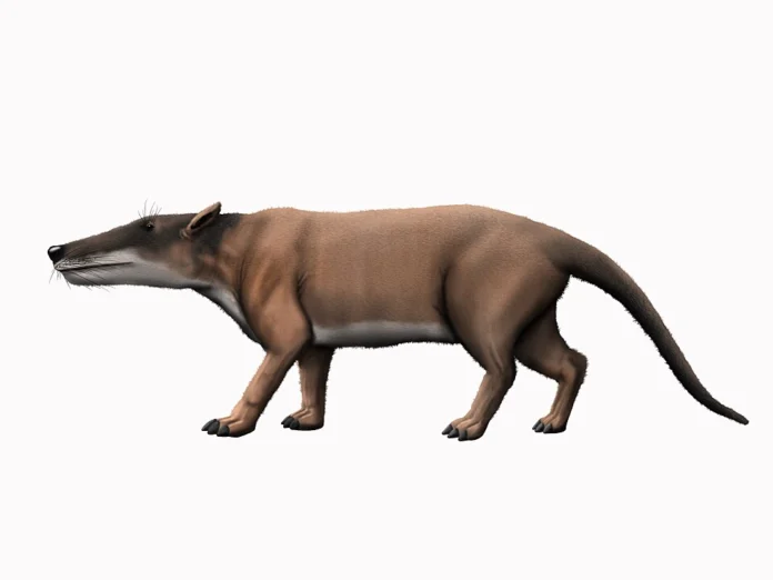 pakicetus inachus