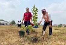 HUT ke-81 RI, KAI Daop 3 Cirebon Gelar Green Movement di Stasiun Prujakan